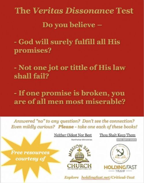 For The Kept Pure Conferees